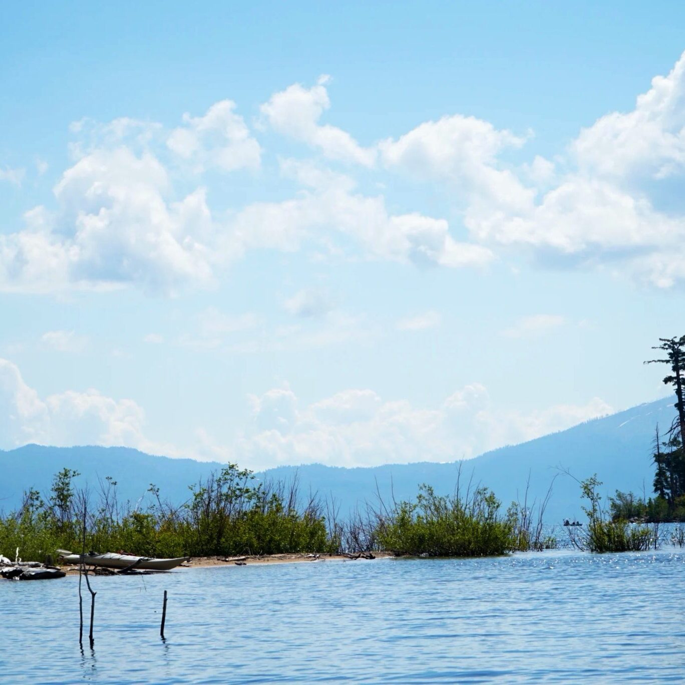 Lake Tahoe Invasive Species Restoration site.